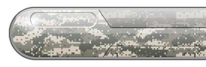 カモフラージュ