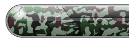 カモフラージュ